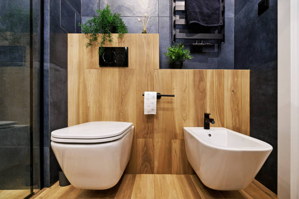 Sanitario compacto
