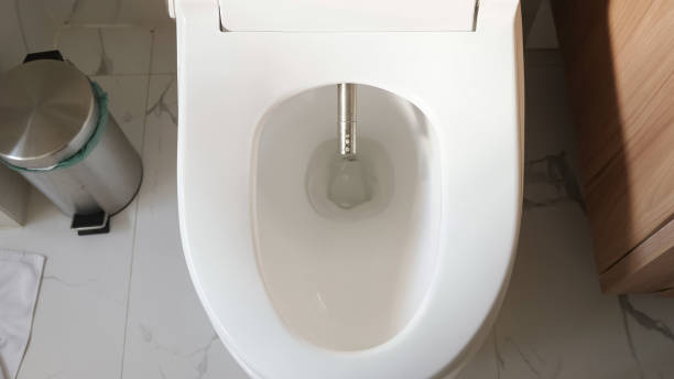 Sanitarios inteligentes